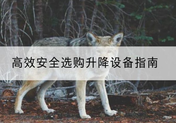 旌德升降货梯厂家推荐-*安全选购升降设备指南
