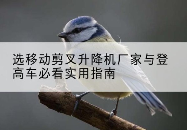 旌德电动升降机厂家-选移动剪叉升降机厂家与登高车必看实用指南