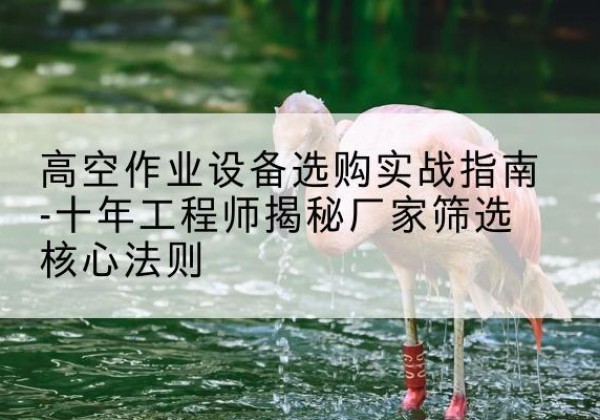 旌德剪叉式升降机厂家-高空作业设备选购实战指南-十年工程师揭秘厂家筛选核心法则